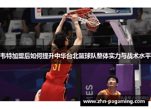 韦特加盟后如何提升中华台北篮球队整体实力与战术水平