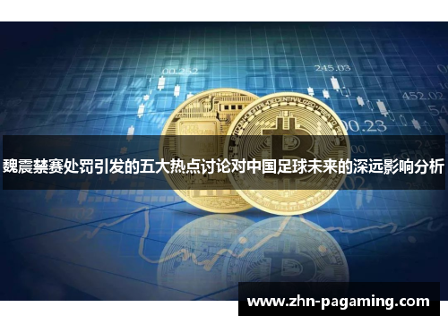 魏震禁赛处罚引发的五大热点讨论对中国足球未来的深远影响分析