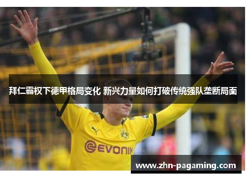 拜仁霸权下德甲格局变化 新兴力量如何打破传统强队垄断局面 拜仁霸权下德甲格局变化 新兴力量如何打破传统强队垄断局面
