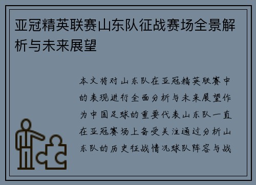 亚冠精英联赛山东队征战赛场全景解析与未来展望