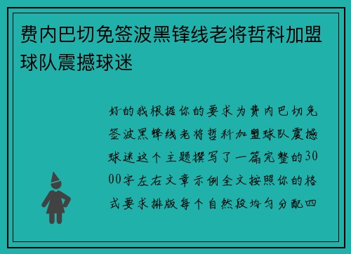 费内巴切免签波黑锋线老将哲科加盟球队震撼球迷 费内巴切免签波黑锋线老将哲科加盟球队震撼球迷