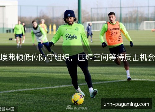 埃弗顿低位防守组织,压缩空间等待反击机会 埃弗顿低位防守组织,压缩空间等待反击机会
